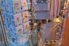 20251222_162500-scaled