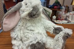 20251222_172652-scaled